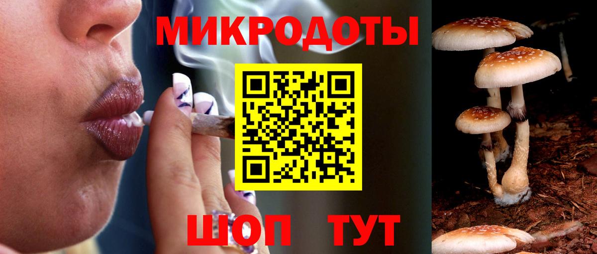 Псилоцибиновые грибы Magic Shrooms  Вход с VPN  Невинномысск 